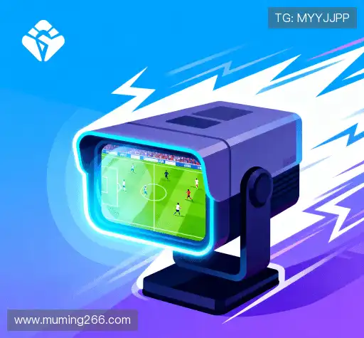 我们可靠的服务